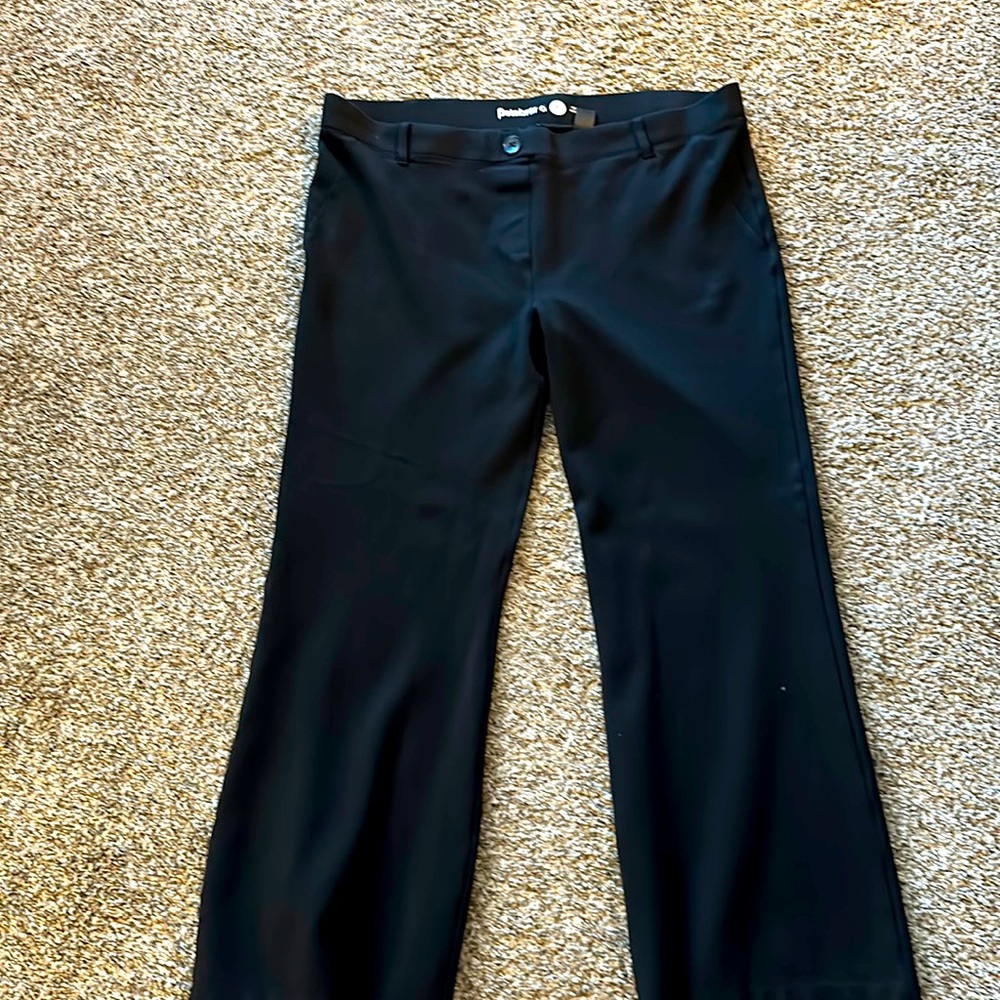 Dress pant yoga pants